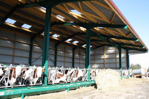 Hangar en bois et métal pour élevage